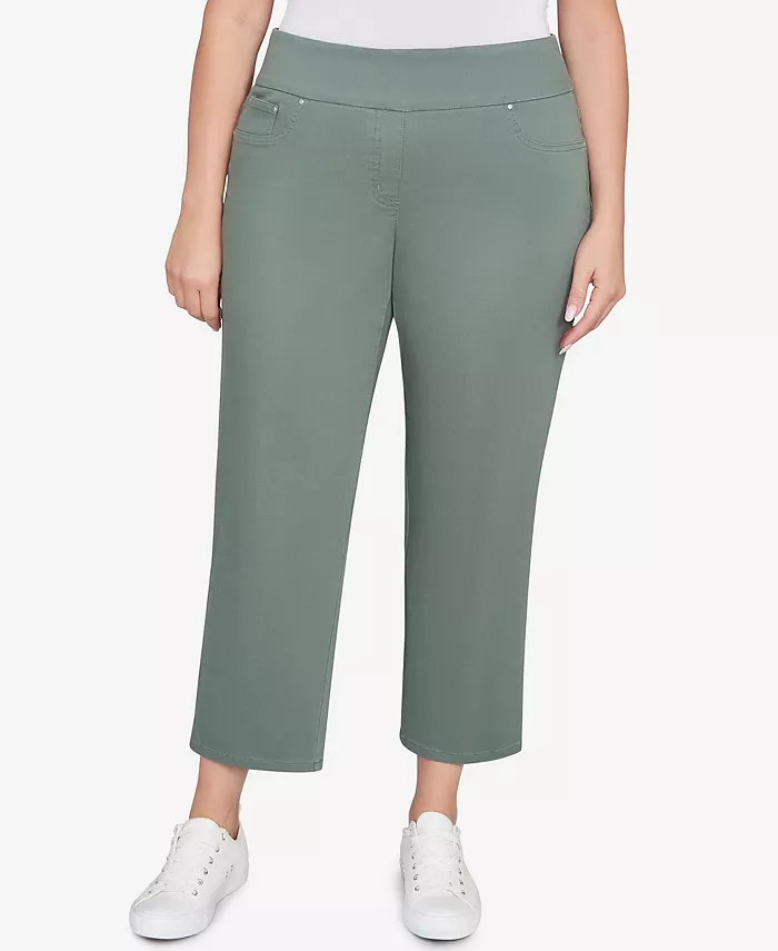 Мягкие джинсовые брюки больших размеров с имитацией карманов Ruby Rd., зеленый
Мягкие джинсовые брюки больших размеров с имитацией карманов Ruby Rd., зеленый