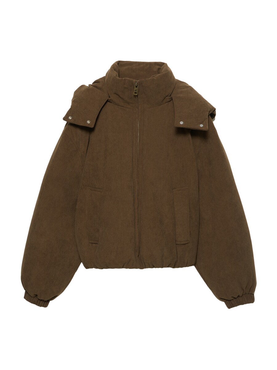 Зимняя куртка Pull&Bear PACIFIC, коричневый
Зимняя куртка Pull&Bear PACIFIC, коричневый