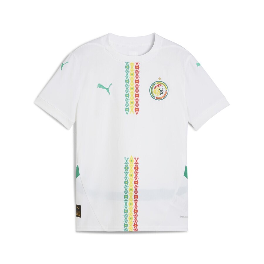 Спортивный топ PUMA Performance Shirt Senegal 2025, белый
Спортивный топ PUMA Performance Shirt Senegal 2025, белый