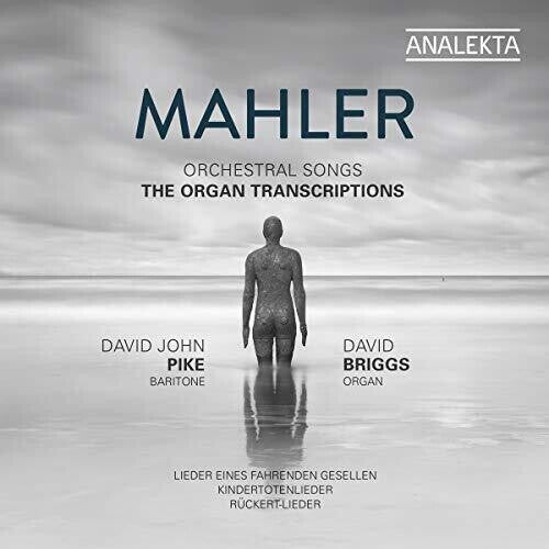 CD диск Mahler / Pike / Briggs: Orchestral Songs
CD диск Mahler / Pike / Briggs: Orchestral Songs