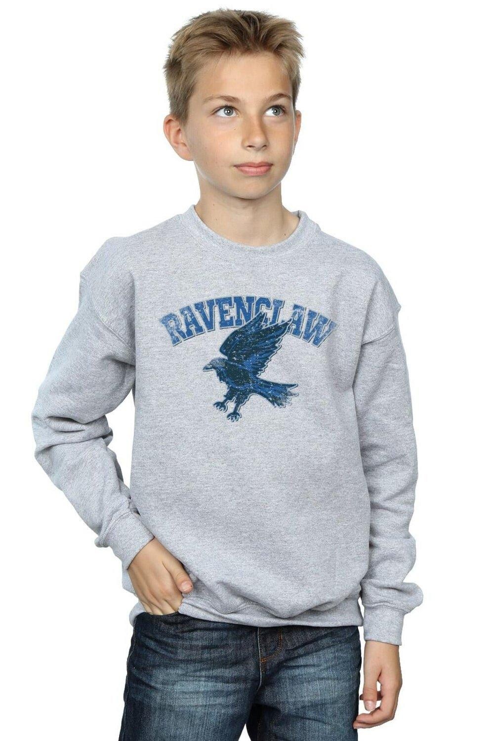 Толстовка со спортивной эмблемой Когтеврана Harry Potter, серый
Толстовка со спортивной эмблемой Когтеврана Harry Potter, серый