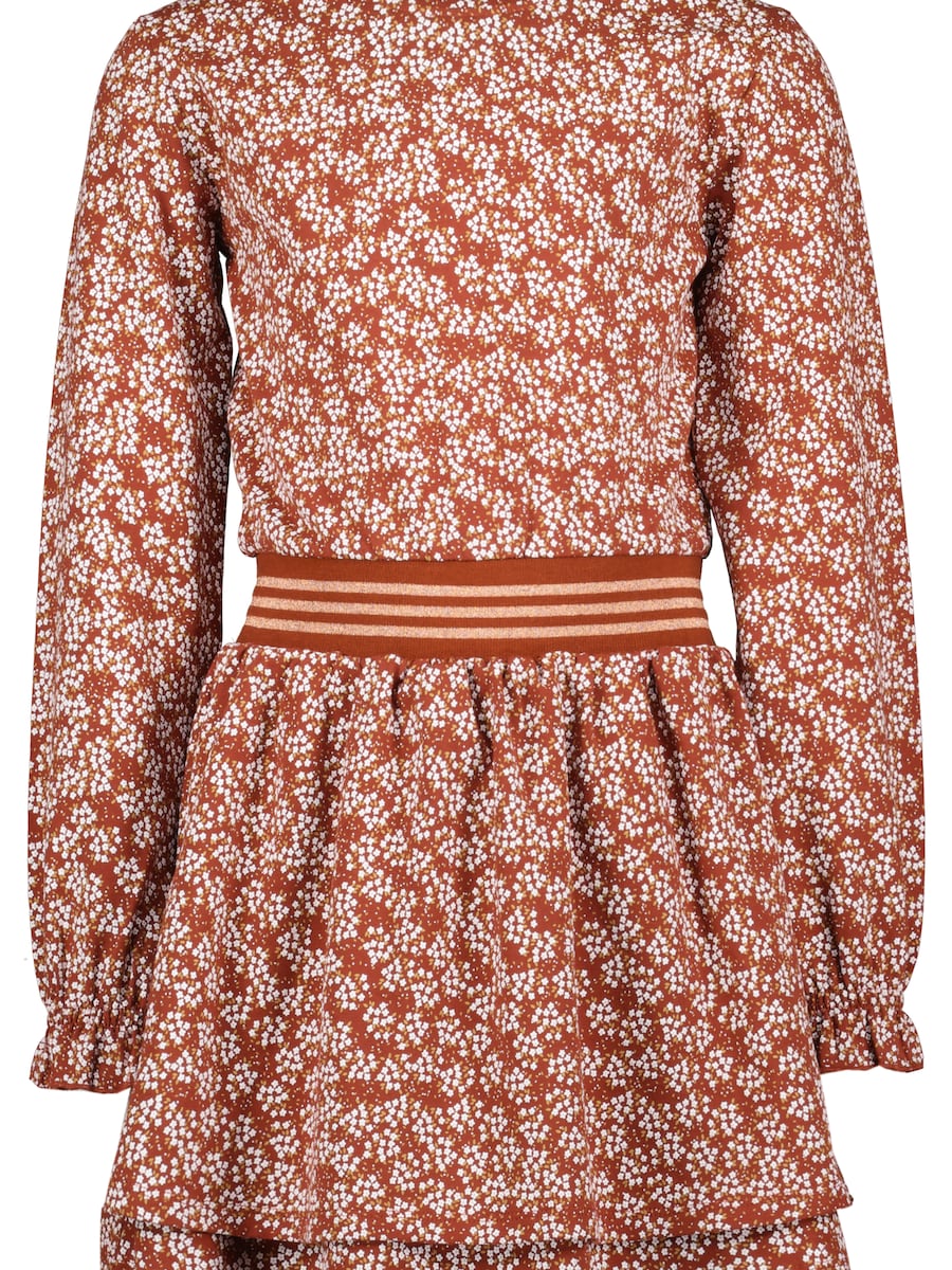 Платье 4PRESIDENT Izzie, каштаново-коричневый
Платье 4PRESIDENT Izzie, каштаново-коричневый