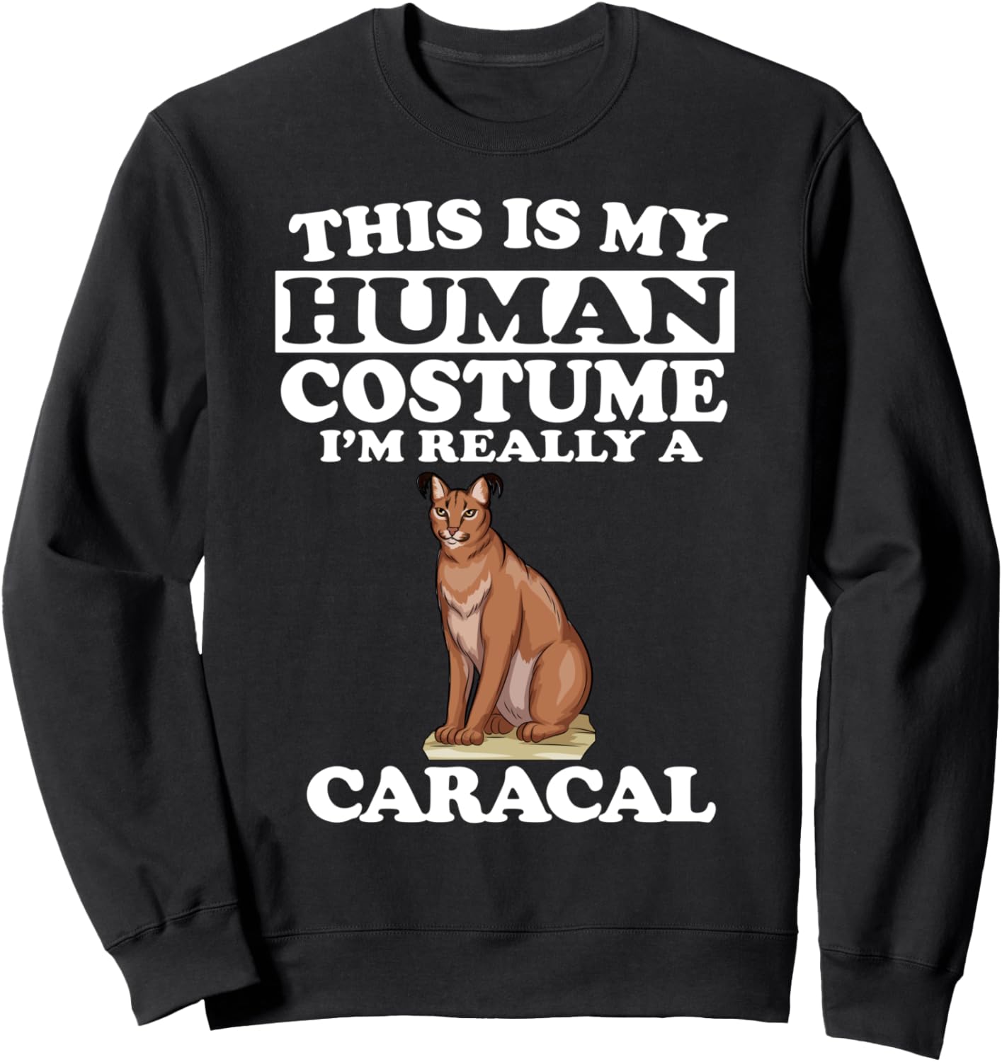 Это мой человеческий костюм. На самом деле я - кот-каракал. Толстовка Caracal Cat, черный
Это мой человеческий костюм. На самом деле я - кот-каракал. Толстовка Caracal Cat, черный