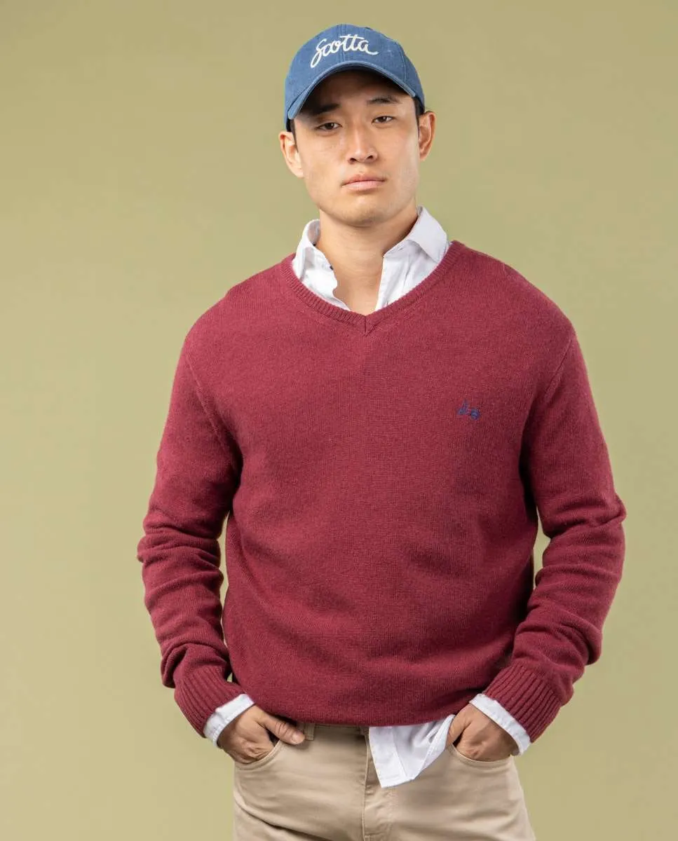 Мужской свитер с воротником поло Scotta 1985, бордовый
Мужской свитер с воротником поло Scotta 1985, бордовый