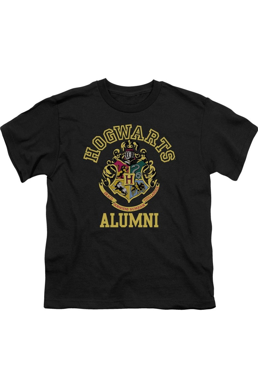 Футболка с коротким рукавом Harry Potter "Выпускник Хогвартса" для детей Gildan, черный
Футболка с коротким рукавом Harry Potter "Выпускник Хогвартса" для детей Gildan, черный