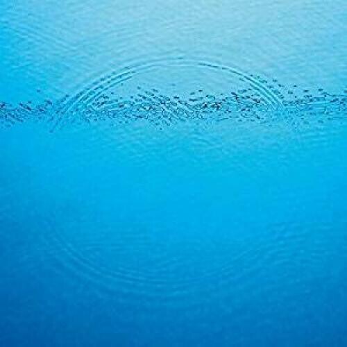 Виниловая пластинка Caribou: Suddenly
Виниловая пластинка Caribou: Suddenly