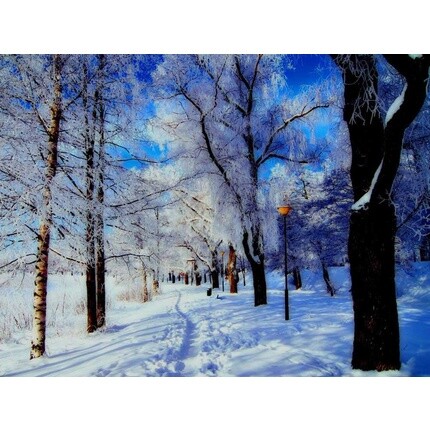 Натуральное эфирное масло мандарина 10 мл, Etja 
Натуральное эфирное масло мандарина 10 мл, Etja