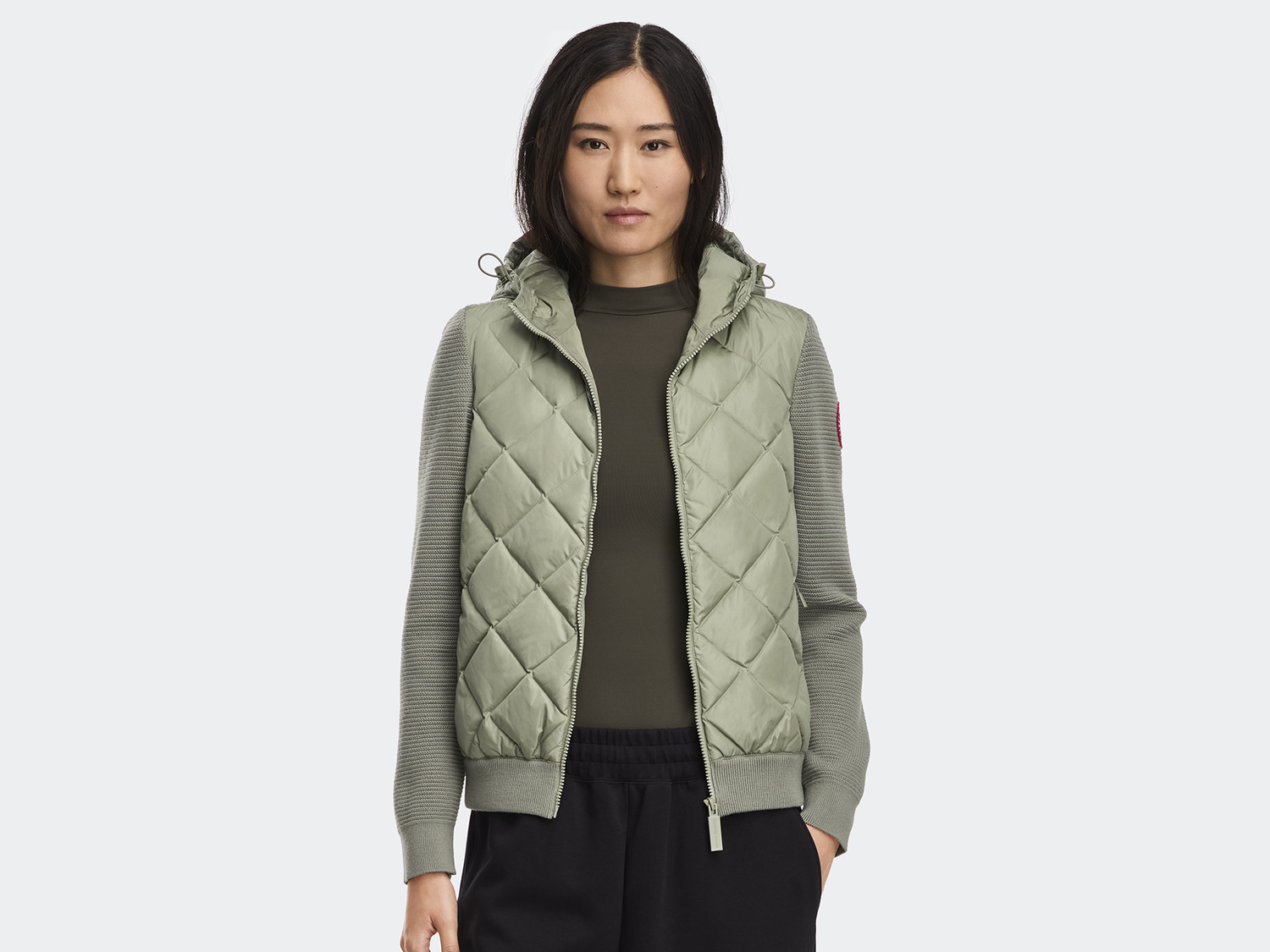 Худи Canada Goose HyBridge Quilted Knit, Sagebrush, Зеленый, Худи Canada Goose HyBridge Quilted Knit, Sagebrush
Худи Canada Goose HyBridge Quilted Knit, Sagebrush, Зеленый, Худи Canada Goose HyBridge Quilted Knit, Sagebrush