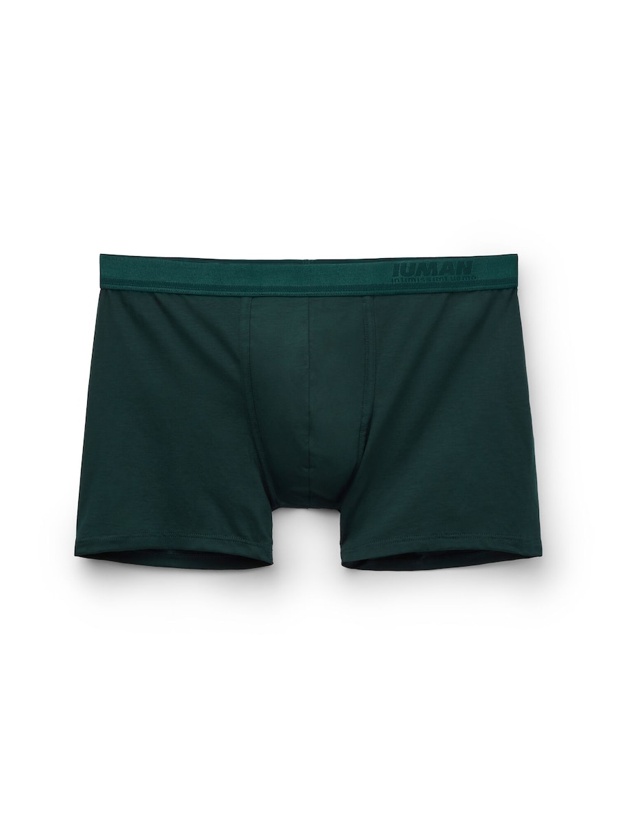 Боксеры INTIMISSIMI, темно-зеленый
Боксеры INTIMISSIMI, темно-зеленый