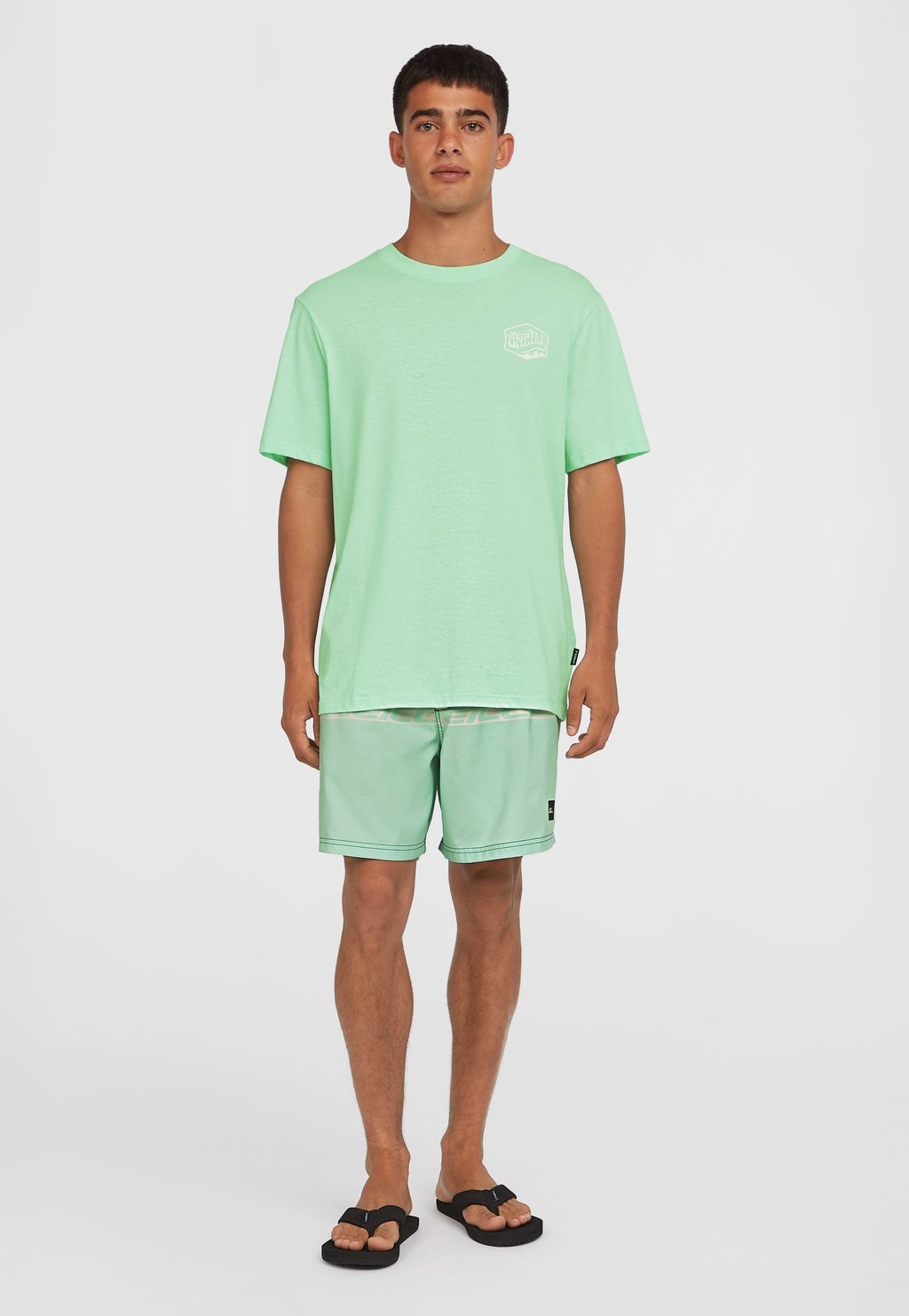 Футболка с принтом BOX LOGO O'Neill, мятный
Футболка с принтом BOX LOGO O'Neill, мятный