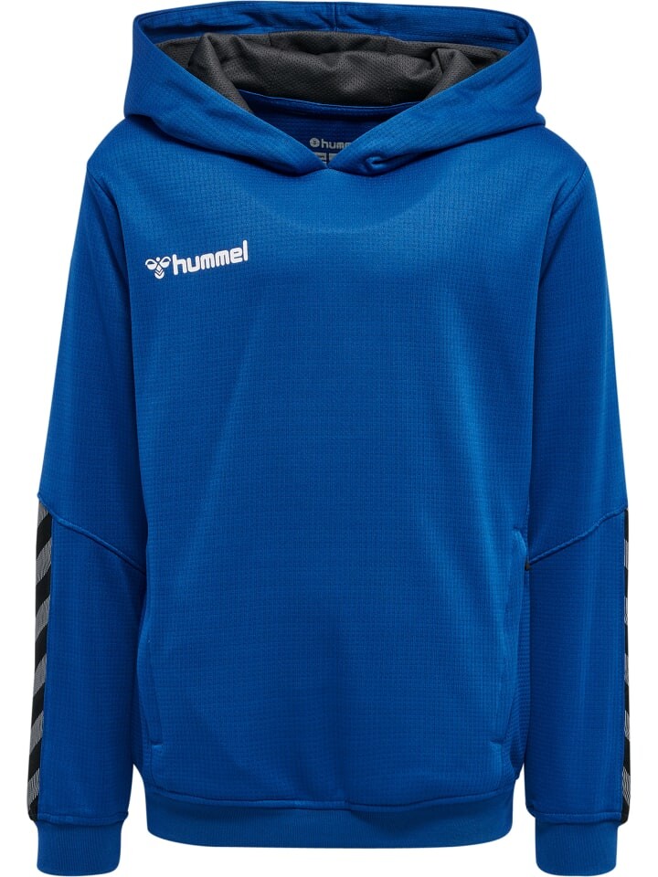 Худи Hummel Poly Hmlauthentic Multisport Kinder, цвет true blue
Худи Hummel Poly Hmlauthentic Multisport Kinder, цвет true blue