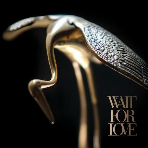 Виниловая пластинка Pianos Become The Teeth - Wait For Love
Виниловая пластинка Pianos Become The Teeth - Wait For Love