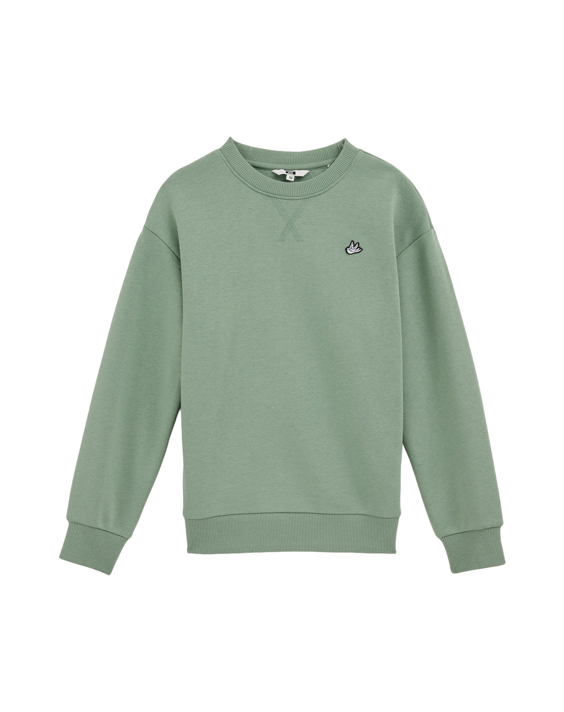WE Fashion Толстовка в цвете Mint
WE Fashion Толстовка в цвете Mint