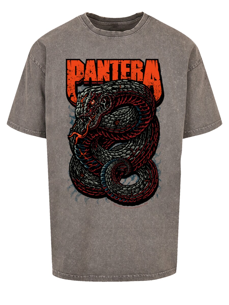 Рубашка F4NT4STIC Pantera Venomous Snake, серый
Рубашка F4NT4STIC Pantera Venomous Snake, серый