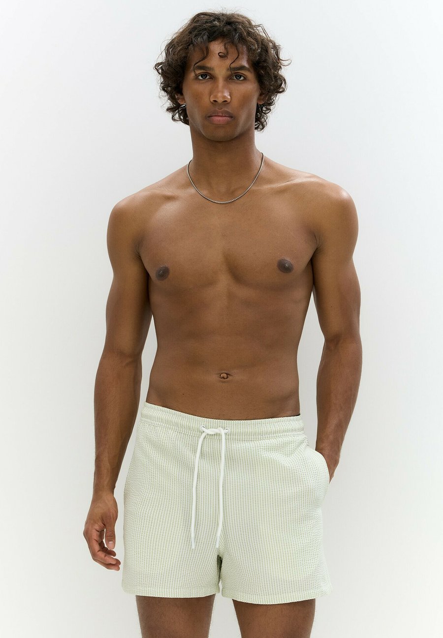 Шорты для плавания PULL&BEAR STRIPE, Light Green
Шорты для плавания PULL&BEAR STRIPE, Light Green