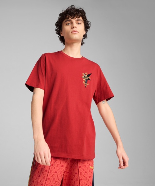 Мужская футболка с коротким рукавом, графическим принтом PUMA, красный
Мужская футболка с коротким рукавом, графическим принтом PUMA, красный