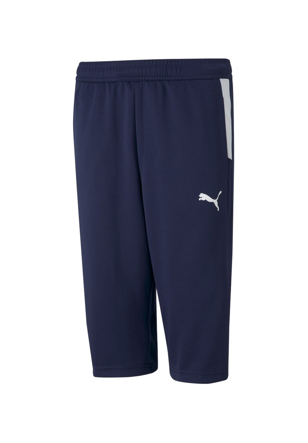 Брюки спортивные TEAMLIGA Puma, цвет blauweiss
Брюки спортивные TEAMLIGA Puma, цвет blauweiss