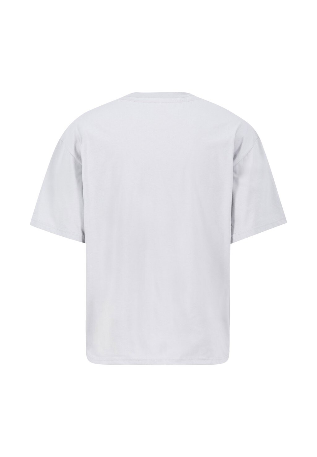 Футболка с принтом LOGO Alpha Industries, серый
Футболка с принтом LOGO Alpha Industries, серый