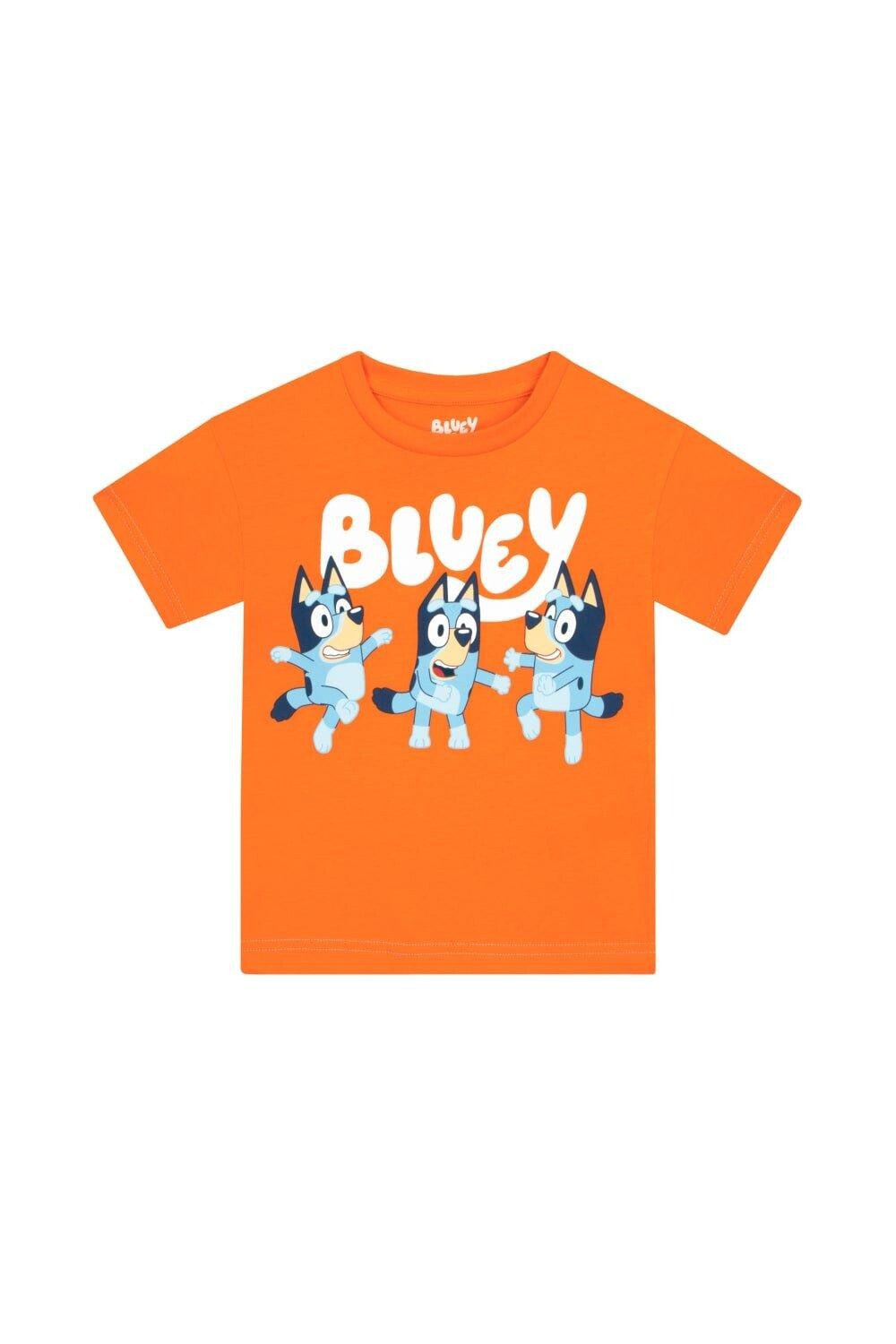 Футболка «Танцующая синяя» Bluey, оранжевый, Синий, Футболка «Танцующая синяя» Bluey, оранжевый
Футболка «Танцующая синяя» Bluey, оранжевый, Синий, Футболка «Танцующая синяя» Bluey, оранжевый