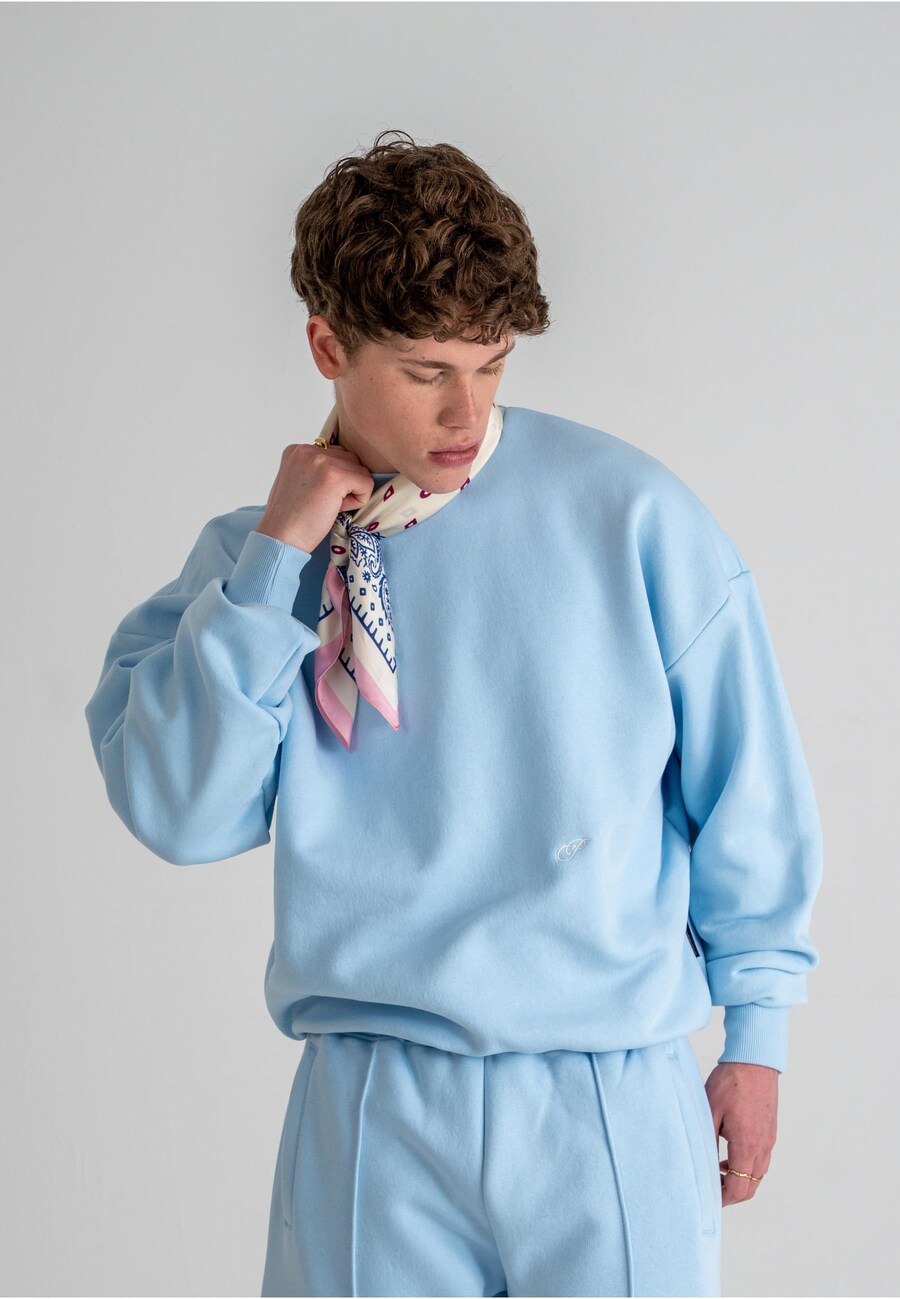 Толстовка Prohibited Hometown, светло-голубой
Толстовка Prohibited Hometown, светло-голубой