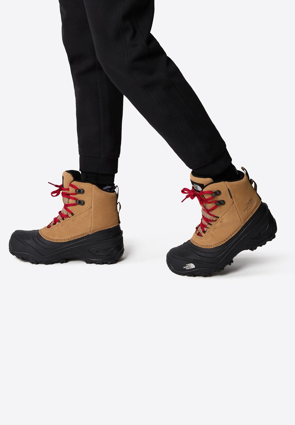 Горные ботинки Chilkat V Lace The North Face, цвет almond butter tnf black
Горные ботинки Chilkat V Lace The North Face, цвет almond butter tnf black