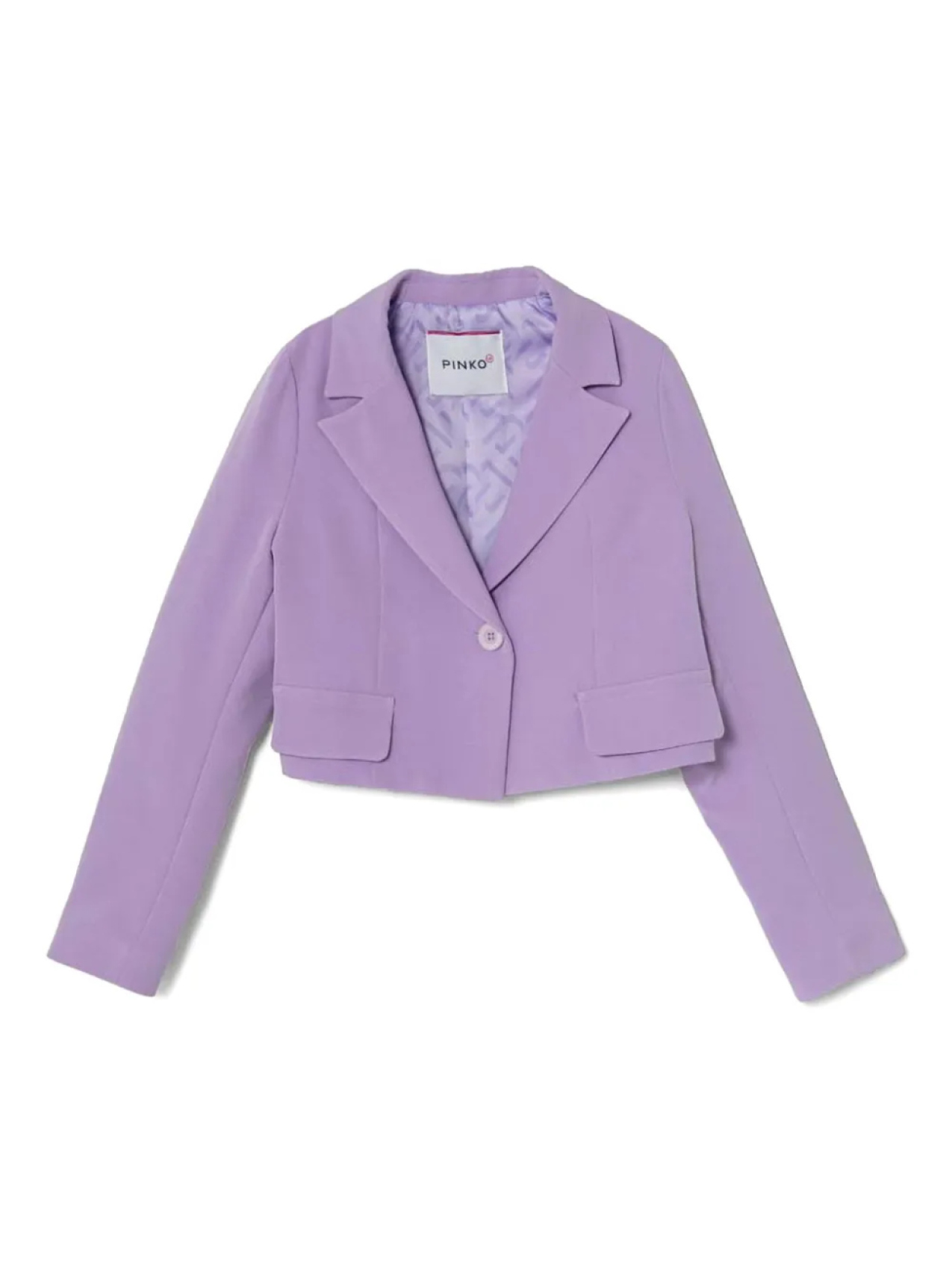 Pinko Kids однобортный пиджак, фиолетовый
Pinko Kids однобортный пиджак, фиолетовый