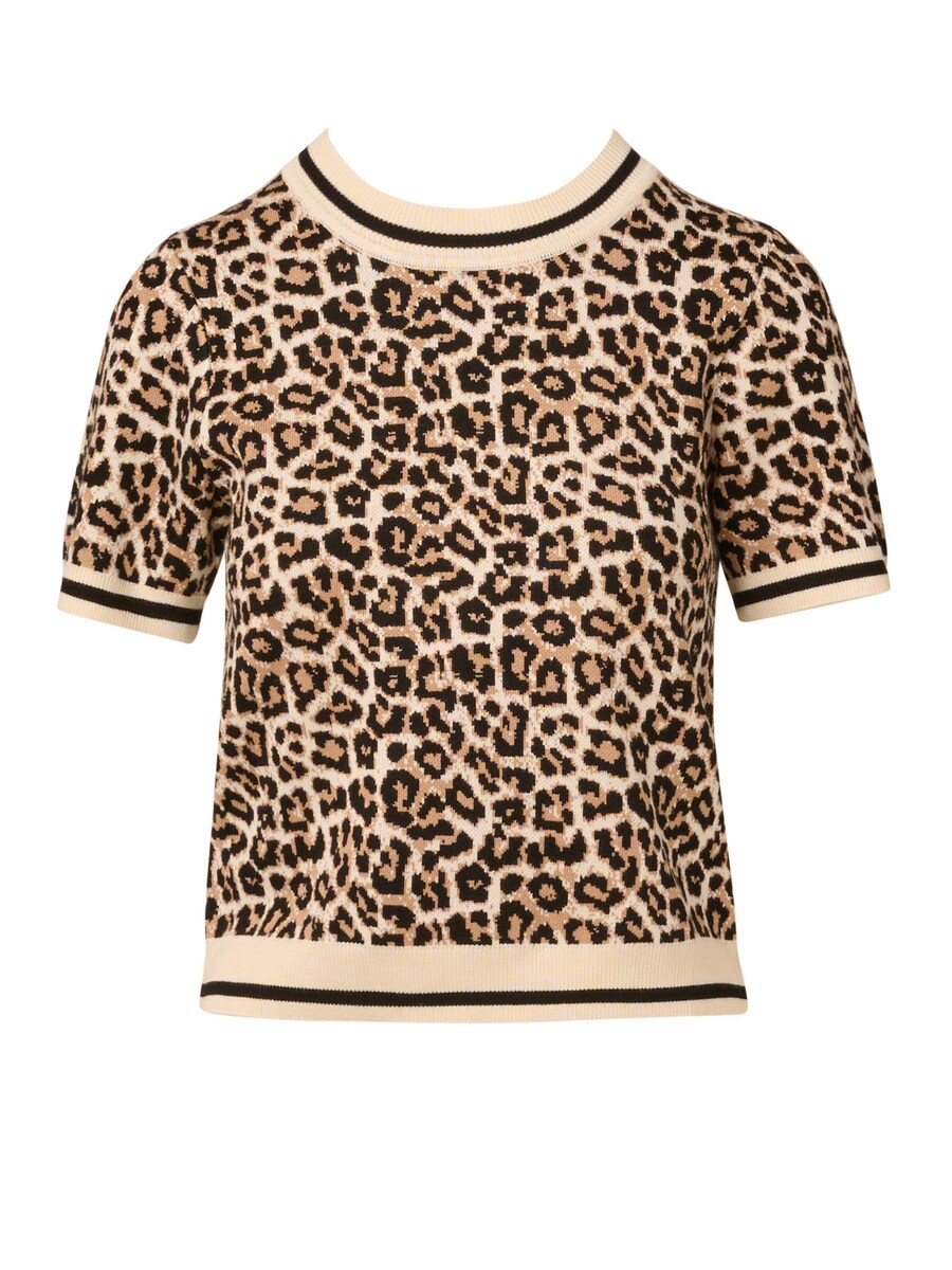 Свитер Adrianna Papell, Brown
Свитер Adrianna Papell, Brown