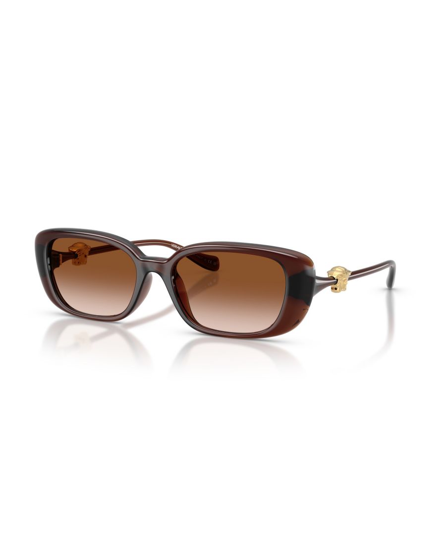 Женские прямоугольные солнцезащитные очки, VE4504D Versace, Transparent Brown
Женские прямоугольные солнцезащитные очки, VE4504D Versace, Transparent Brown
