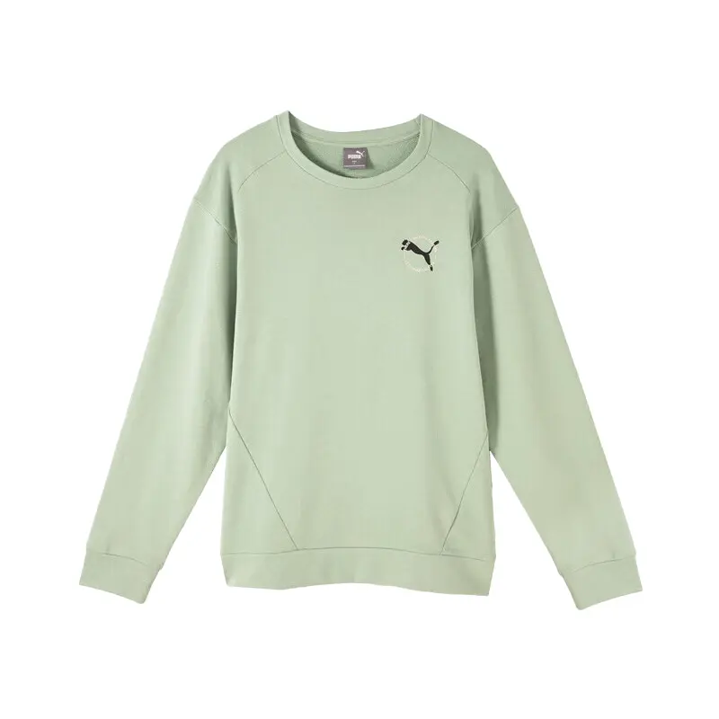 Толстовка мужская Mist Green Puma, зеленый
Толстовка мужская Mist Green Puma, зеленый