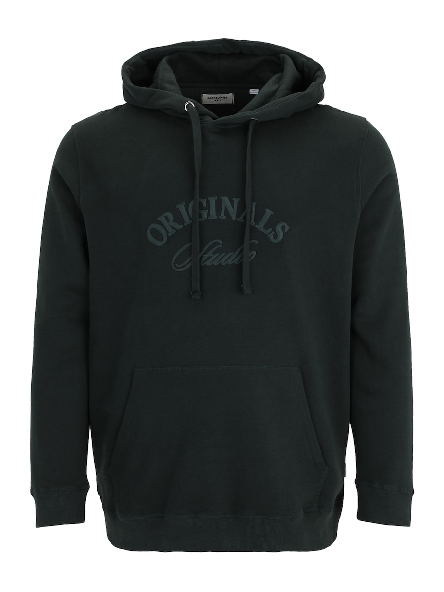 Толстовка Jack & Jones Plus JORBLEECKER, темно-зеленый
Толстовка Jack & Jones Plus JORBLEECKER, темно-зеленый