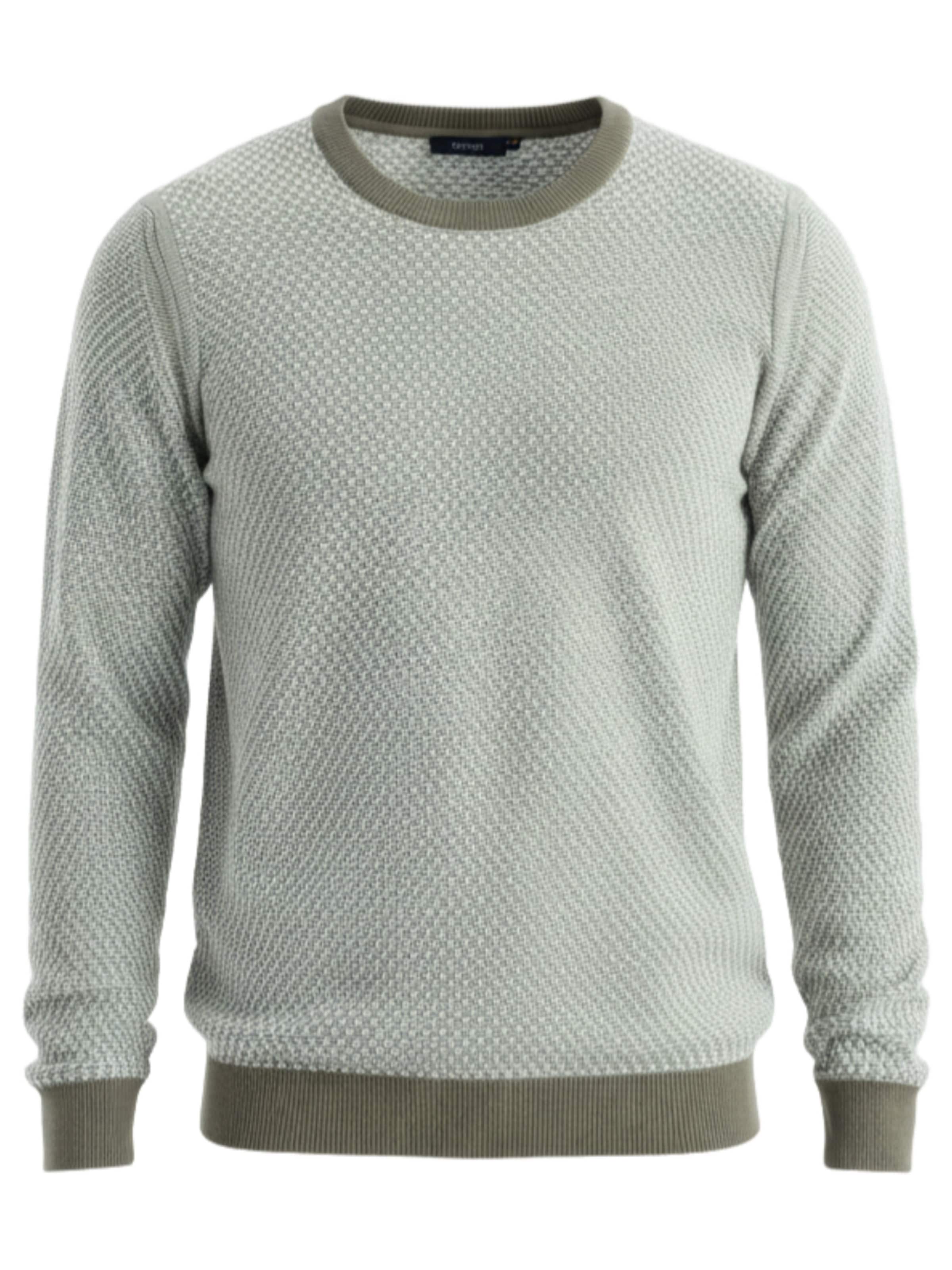 Ombre Свитер 'OM-SWSW-0111' в цвете Olive, Pastel Green
Ombre Свитер 'OM-SWSW-0111' в цвете Olive, Pastel Green