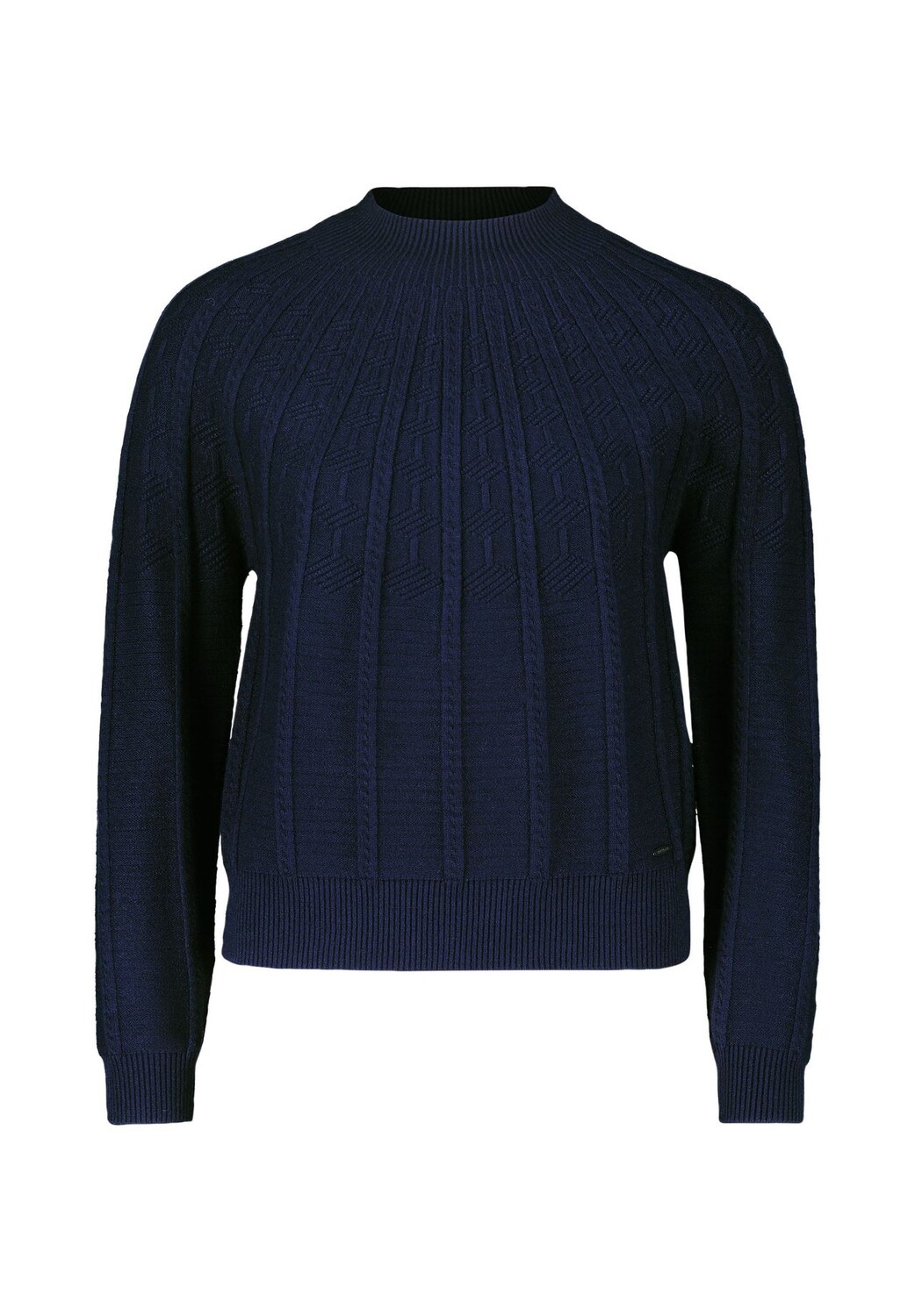 Вязаный свитер с воротником стойкой BETTY & CO, темно-синий
Вязаный свитер с воротником стойкой BETTY & CO, темно-синий