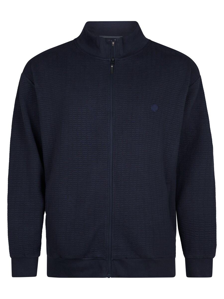 Толстовка с капюшоном на молнии Petrol Industries, темно-синий
Толстовка с капюшоном на молнии Petrol Industries, темно-синий