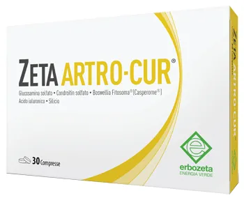 Erbozeta Zeta Artro-Cur 30 таблеток Совместная добавка
Erbozeta Zeta Artro-Cur 30 таблеток Совместная добавка