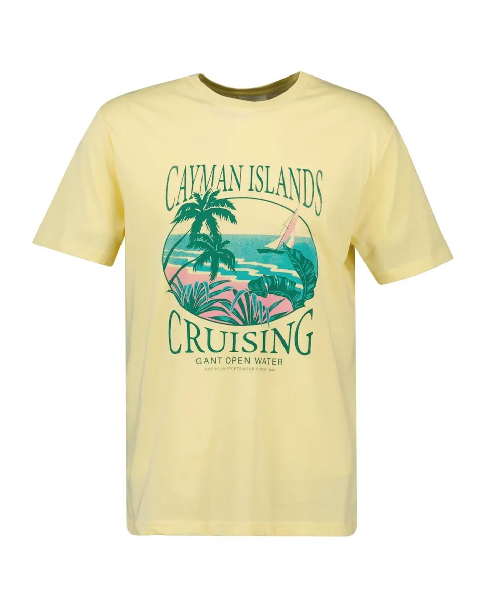 Мужская хлопковая футболка с рисунком на груди Gant, жёлтый 
Мужская хлопковая футболка с рисунком на груди Gant, жёлтый