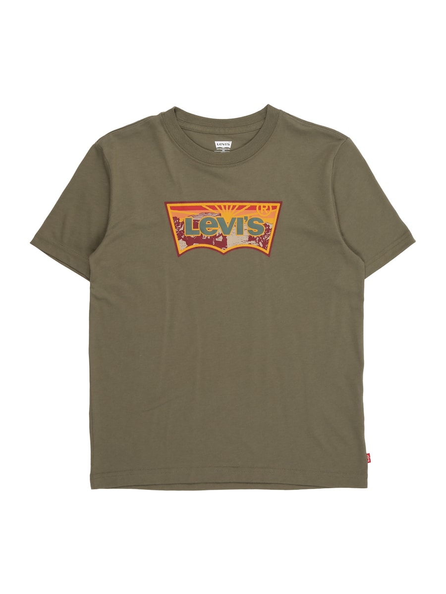 Рубашка Levi's Kids SUNRISE DESERT, хаки
Рубашка Levi's Kids SUNRISE DESERT, хаки