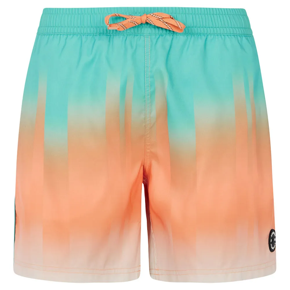 Шорты для плавания Protest Bowery, разноцветный
Шорты для плавания Protest Bowery, разноцветный