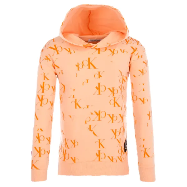 Толстовка обычного кроя Calvin Klein, оранжевый
Толстовка обычного кроя Calvin Klein, оранжевый