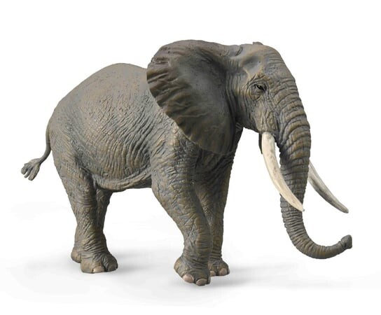 Ollecta Африканский слон Collecta
Ollecta Африканский слон Collecta