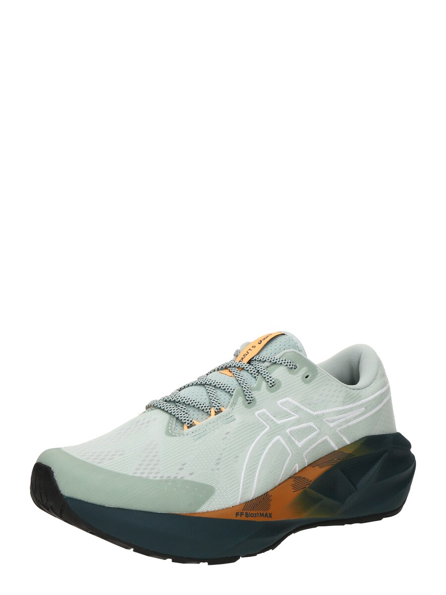 Беговые кроссовки ASICS NOVABLAST 5, Light green
Беговые кроссовки ASICS NOVABLAST 5, Light green