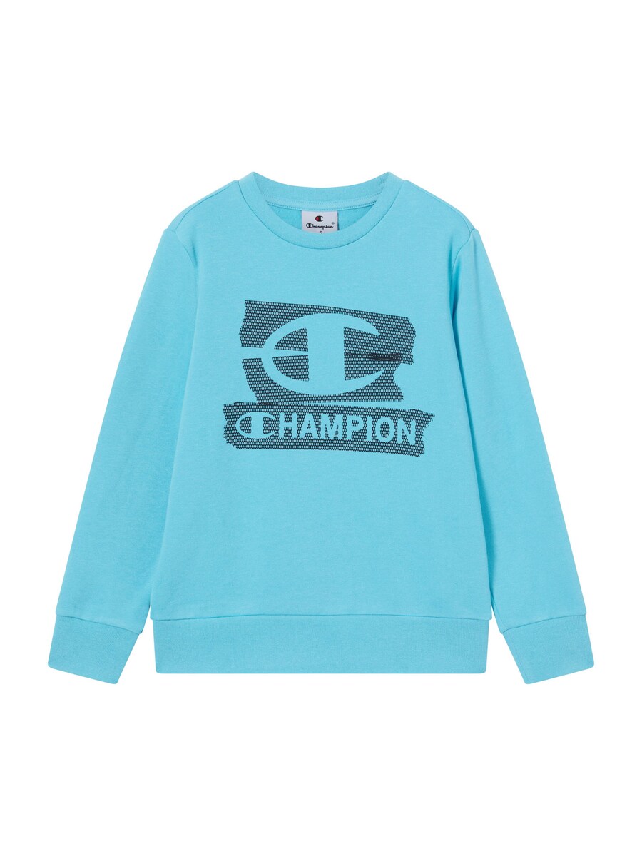 Толстовка Champion Authentic Athletic Apparel, темно-синий/светло-голубой
Толстовка Champion Authentic Athletic Apparel, темно-синий/светло-голубой