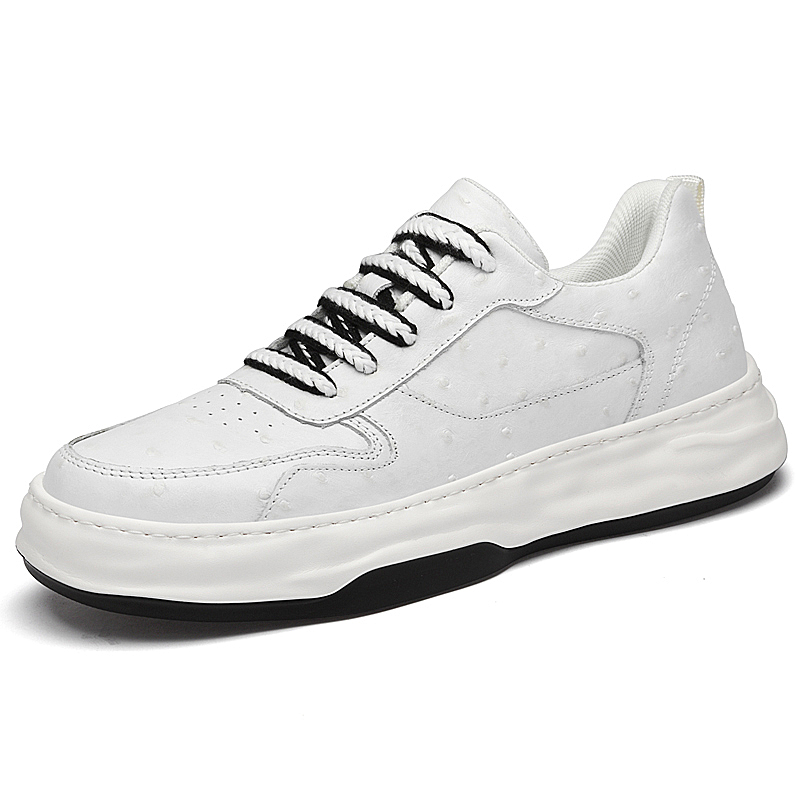 Нескользящие легкие низкие кроссовки для скейтбординга для мужчин Bull Thunder, White
Нескользящие легкие низкие кроссовки для скейтбординга для мужчин Bull Thunder, White