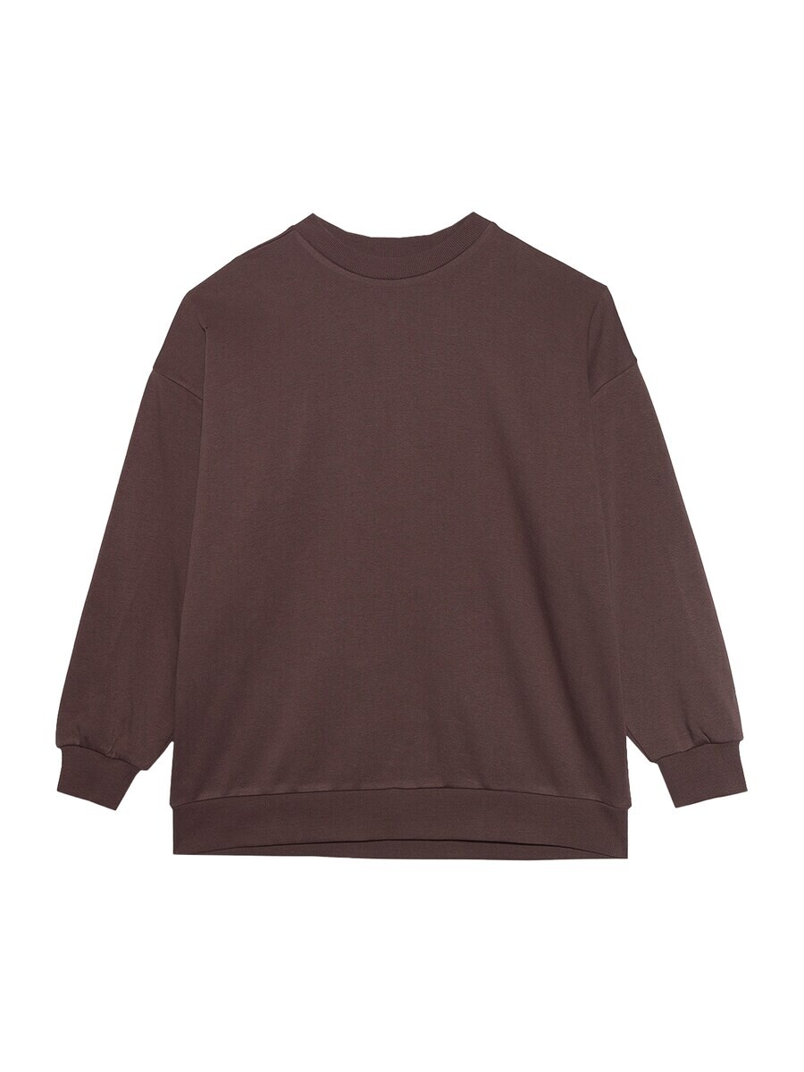 Спортивная толстовка 4F, темно коричневый 
Спортивная толстовка 4F, темно коричневый