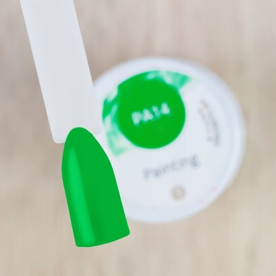 Декоративный гель, Картина PA14 PB Nails
Декоративный гель, Картина PA14 PB Nails