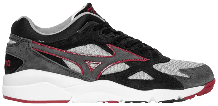 Кроссовки Mizuno Sky Medal Premium 'Black High Rise', черный
Кроссовки Mizuno Sky Medal Premium 'Black High Rise', черный