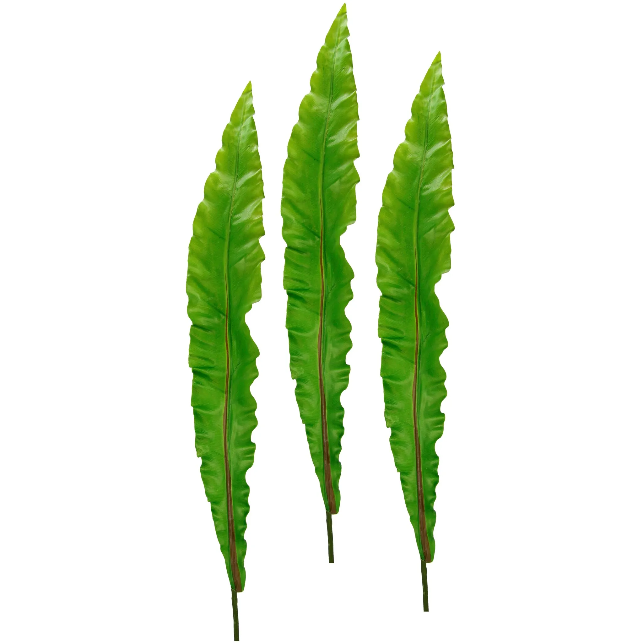 И.ГЕ.А. Искусственное растение «Nest Fern Leaf», Монстера, искусственная ветка, набор из 3 шт I.Ge.A., зеленый
И.ГЕ.А. Искусственное растение «Nest Fern Leaf», Монстера, искусственная ветка, набор из 3 шт I.Ge.A., зеленый