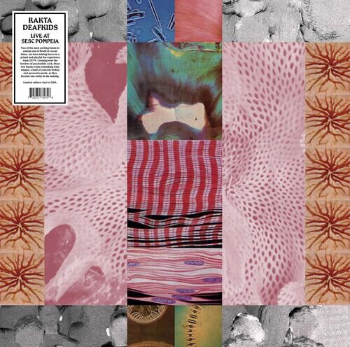 Виниловая пластинка Rakta & Deakfids - Live At Sesc Pompeia
Виниловая пластинка Rakta & Deakfids - Live At Sesc Pompeia