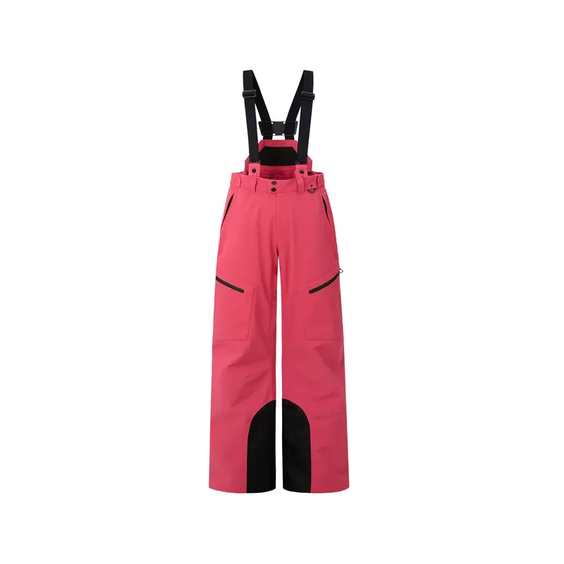 Женские сноубордические штаны HELLY HANSEN, розовый
Женские сноубордические штаны HELLY HANSEN, розовый