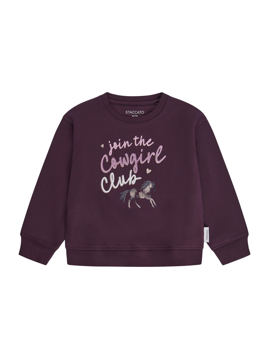 Толстовка STACCATO, темно-красный
Толстовка STACCATO, темно-красный