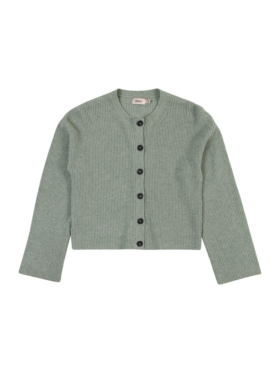 Худи KIDS ONLY Zip-Up Hoodie Kogkatia, зеленый
Худи KIDS ONLY Zip-Up Hoodie Kogkatia, зеленый